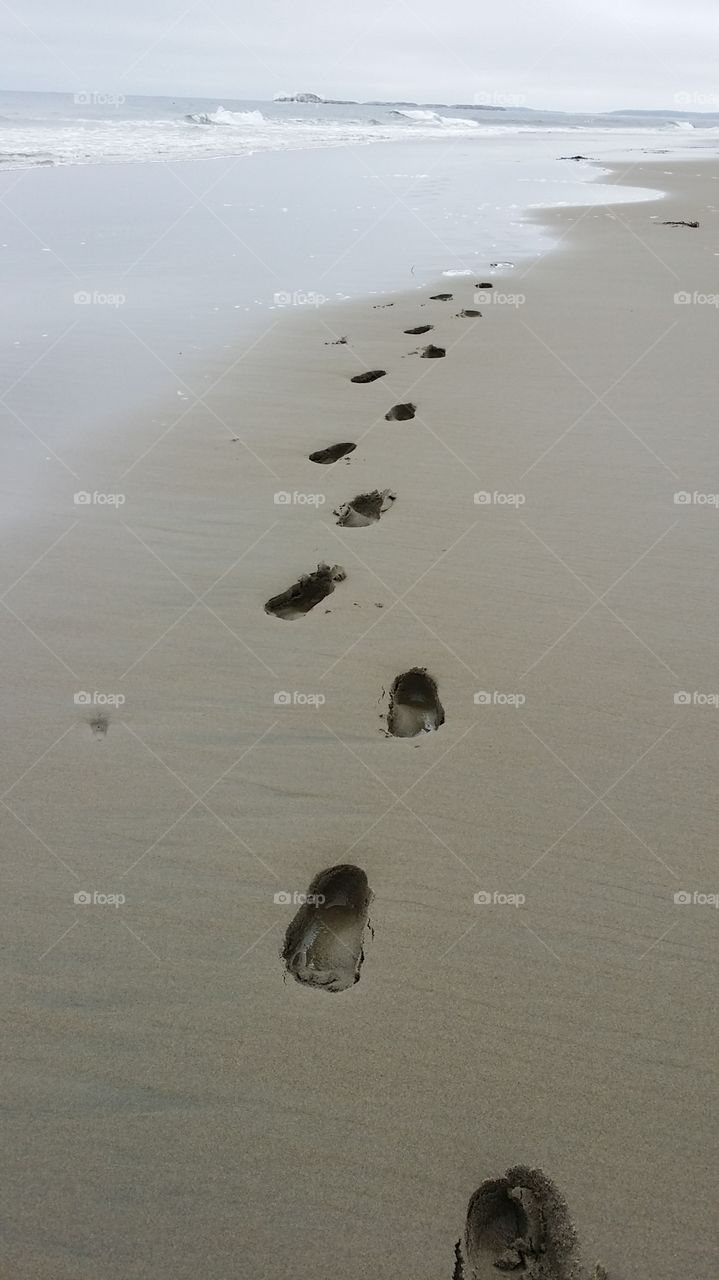Beach, Seashore, No Person, Sand, Footprint
