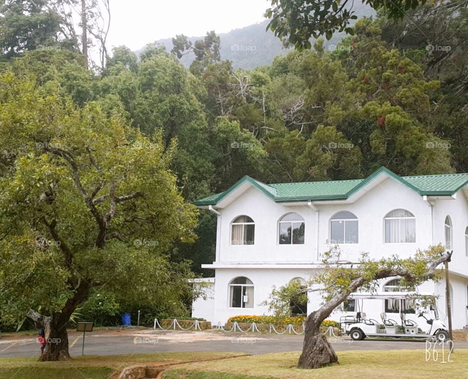 The picture gives an image of a white house surrounded with trees. And also a white electric cart is parked at the bottom right corner of the house.