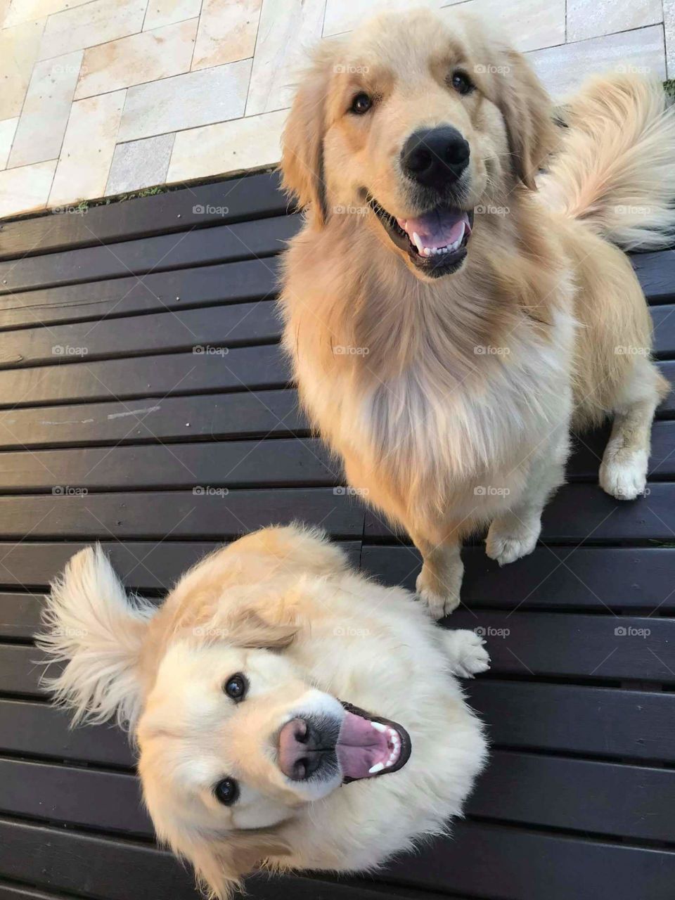 Fluffy Mornieeee Hooomaannnn....