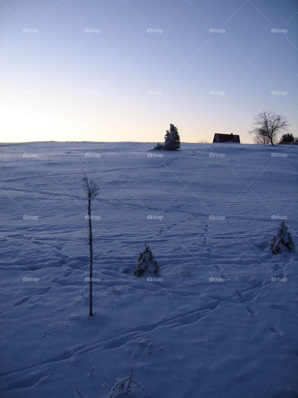 snow on a hill