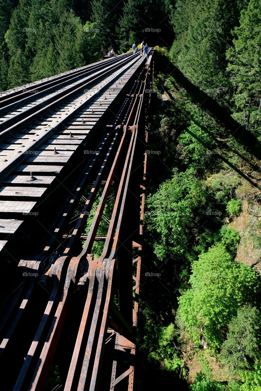 Goldstream Tressel Bridge