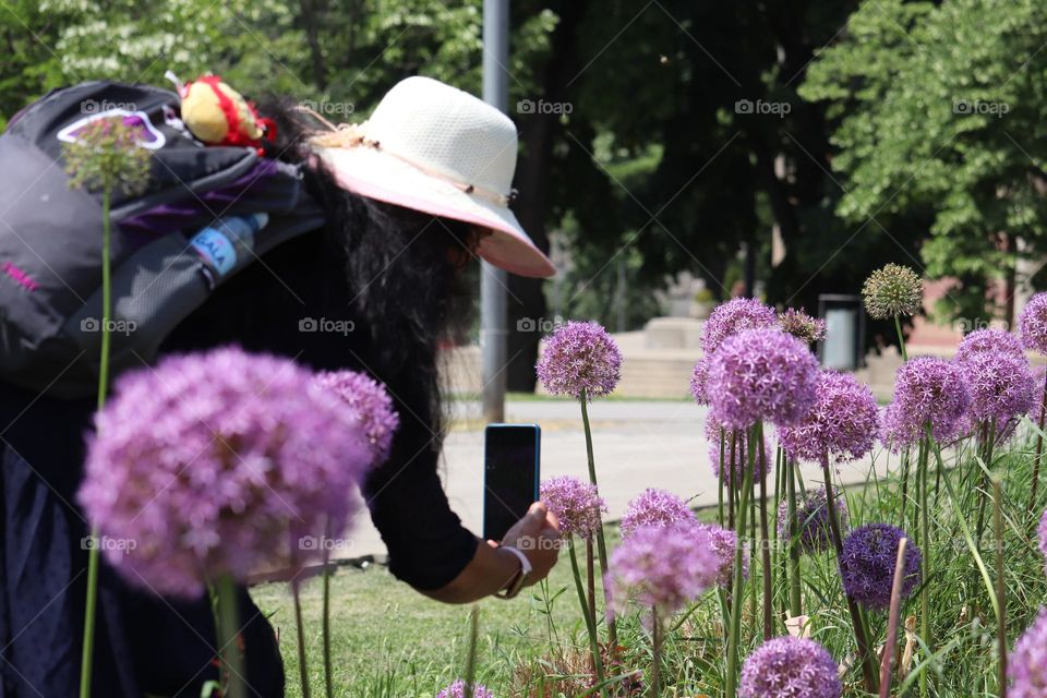 Photographing flowers in nature