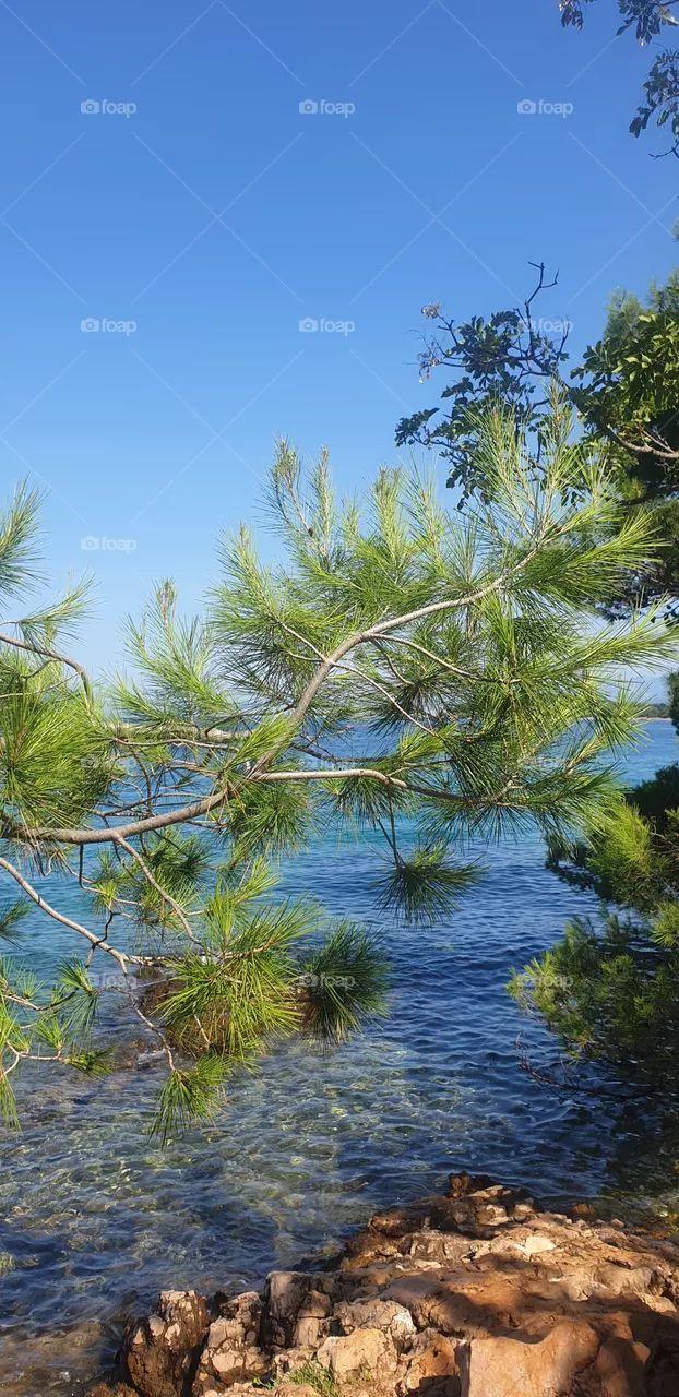 sea and nature