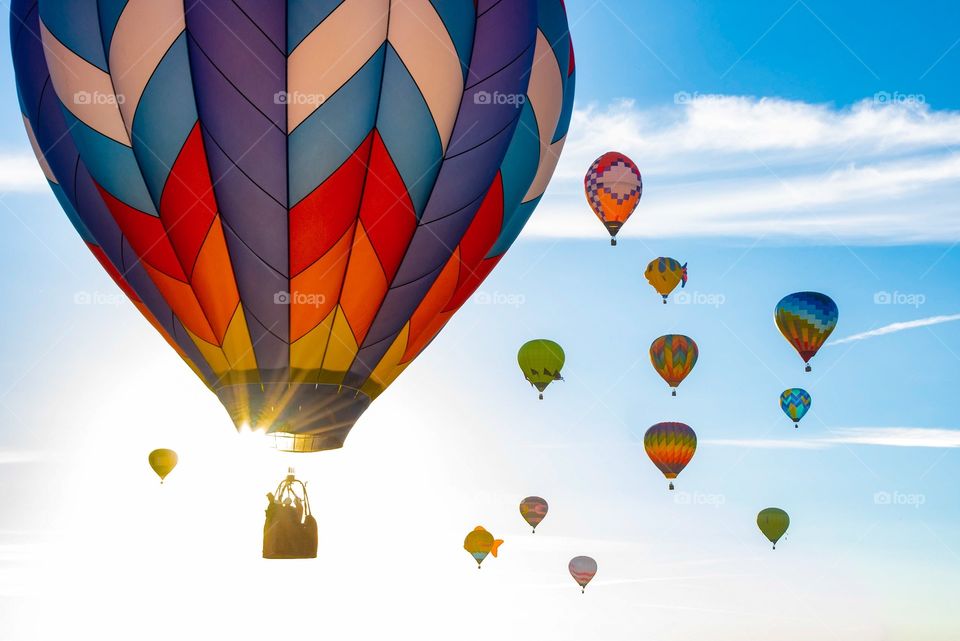 Many hot air balloons take off at sunrise in Reno Nevada