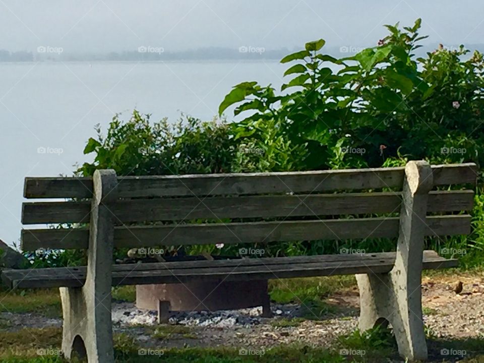 Bench by the Lake