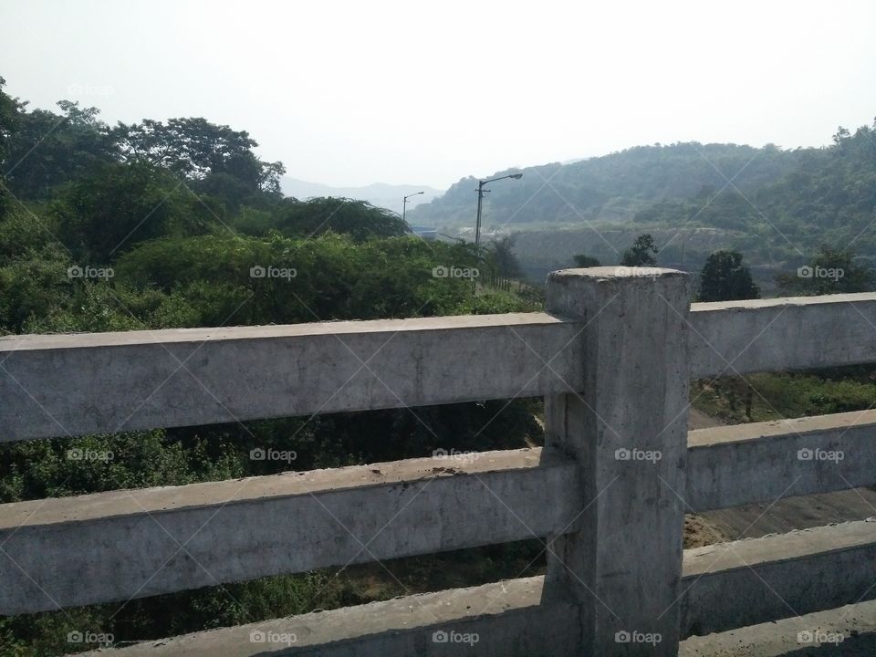 a bridge in the forest.