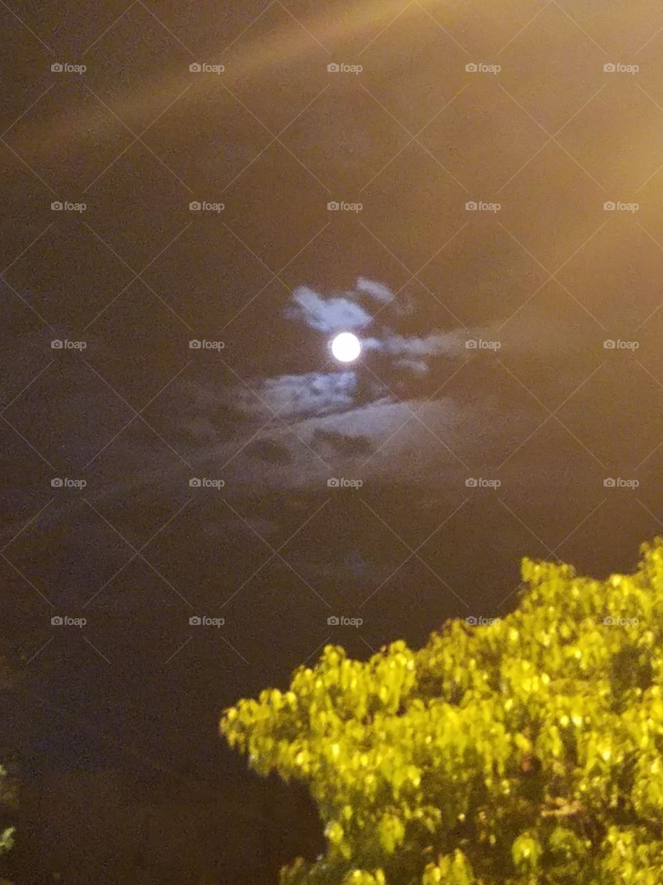 A nighttime sky depicting clouds surrounding a full moon with a tree just shy in the photo.