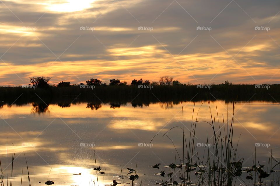 Tranquil Sky