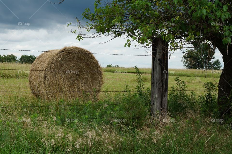 High angle view of hay bale roll