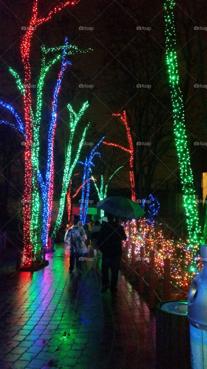 Toledo Zoo lights