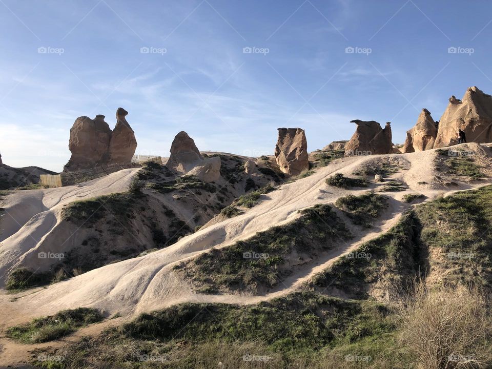 Camel in the imagination valley 