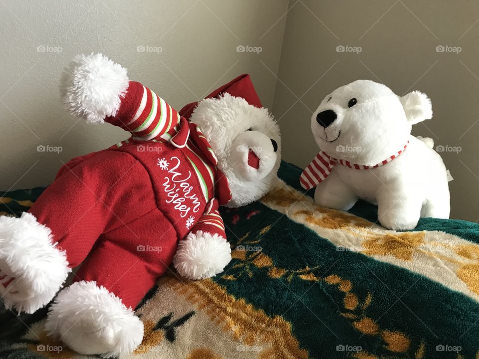 Fluffy  stuffed animals