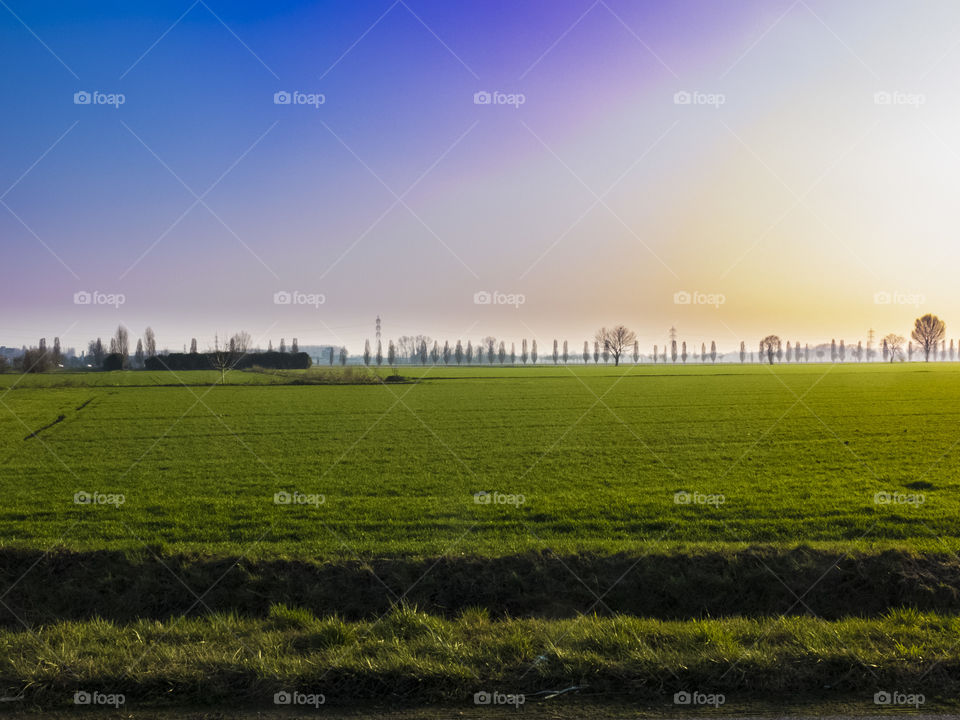 view of milan countyside on sunset. Green, gold, sky, grass, colorful, trees, blue, yellow, orange in Milano district, Lombardy, Italy.