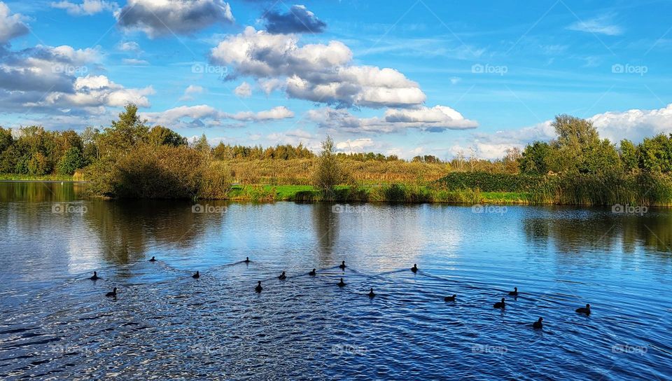 Landscape in the Netherlands