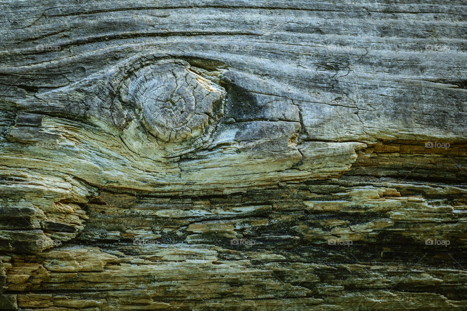 Wood texture