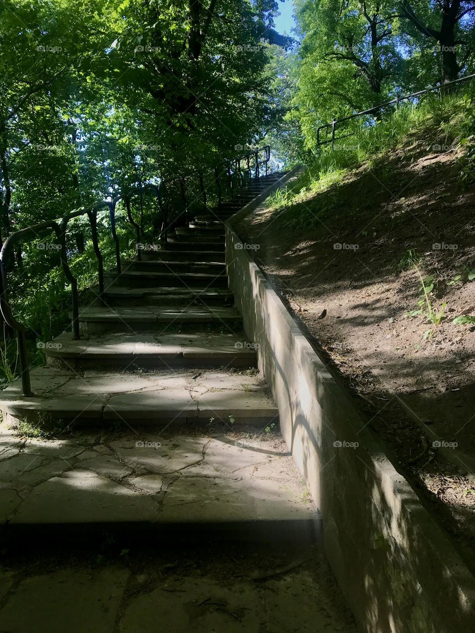 Stone stairs among the trees 