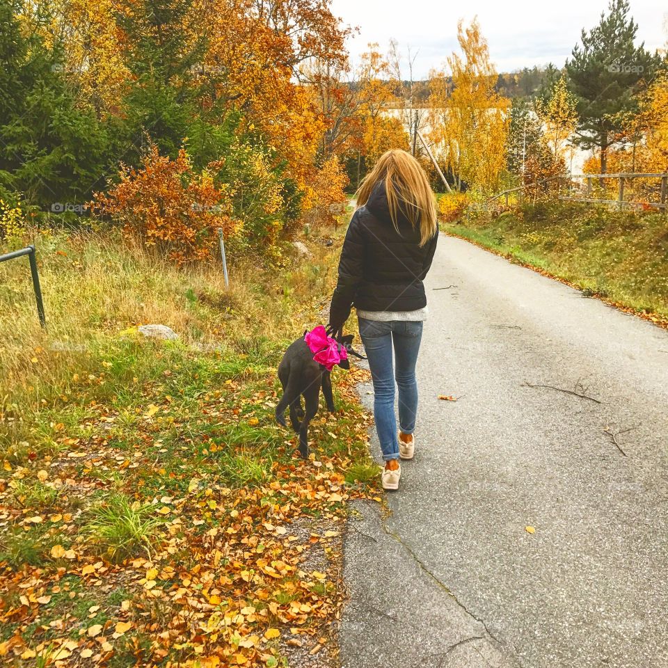A fresh walk in the cold autumm weather. So many colours. Family . 