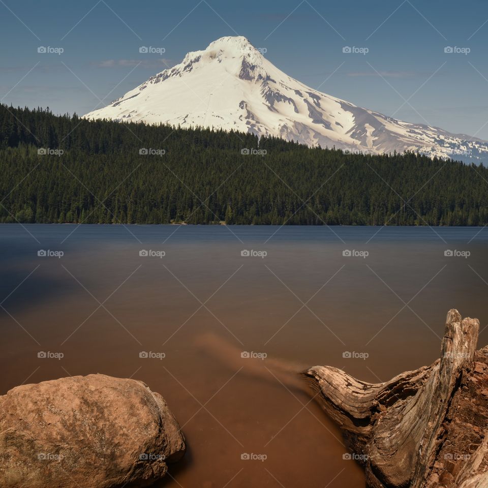 Scenic view of trees and mountains