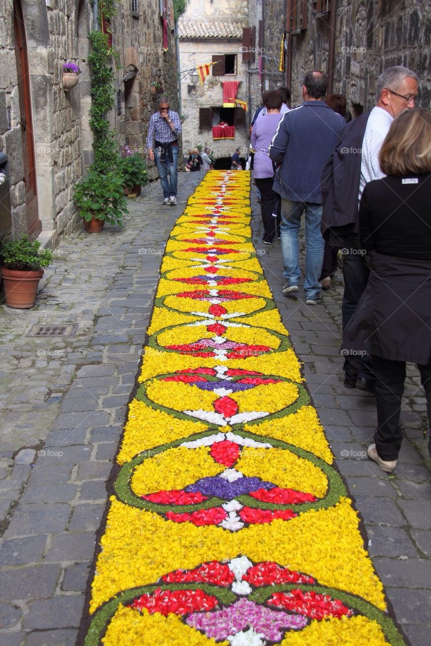 Floral Display