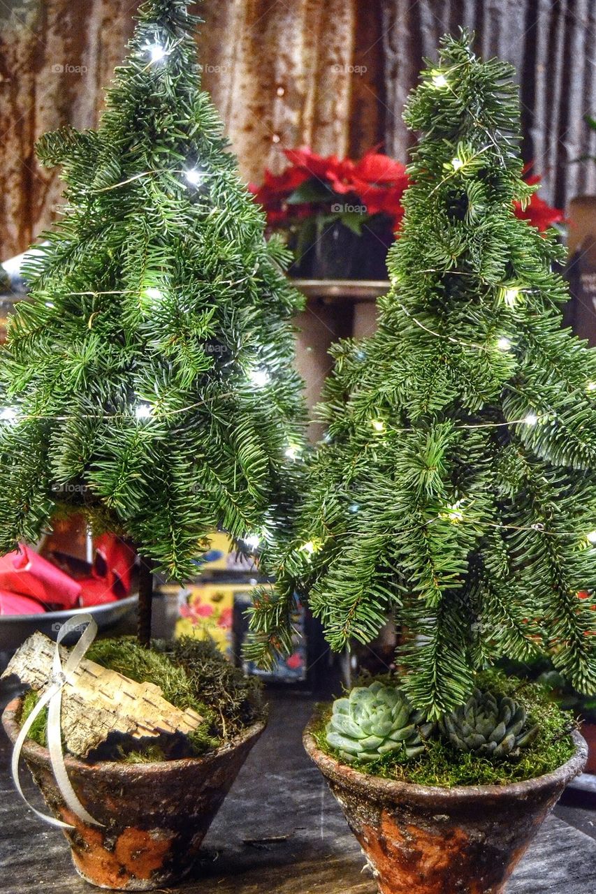 Decorative Christmastrees