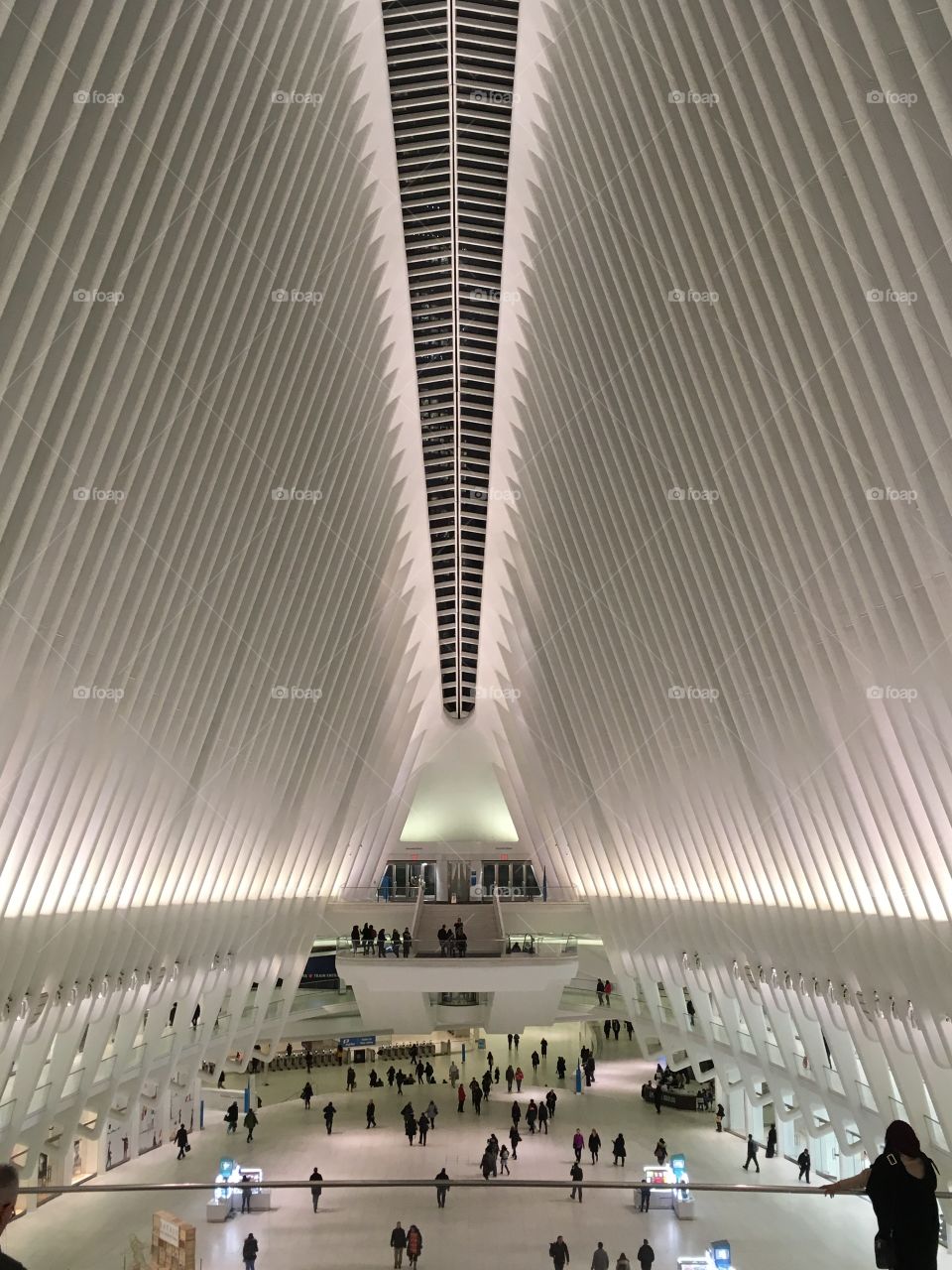 Oculus 
