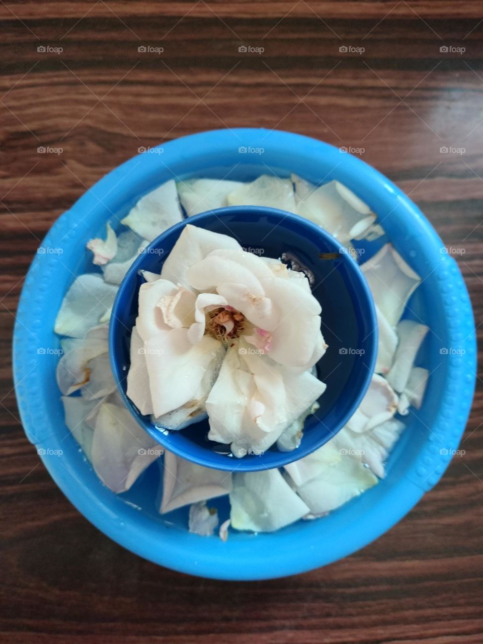 flower with bowl