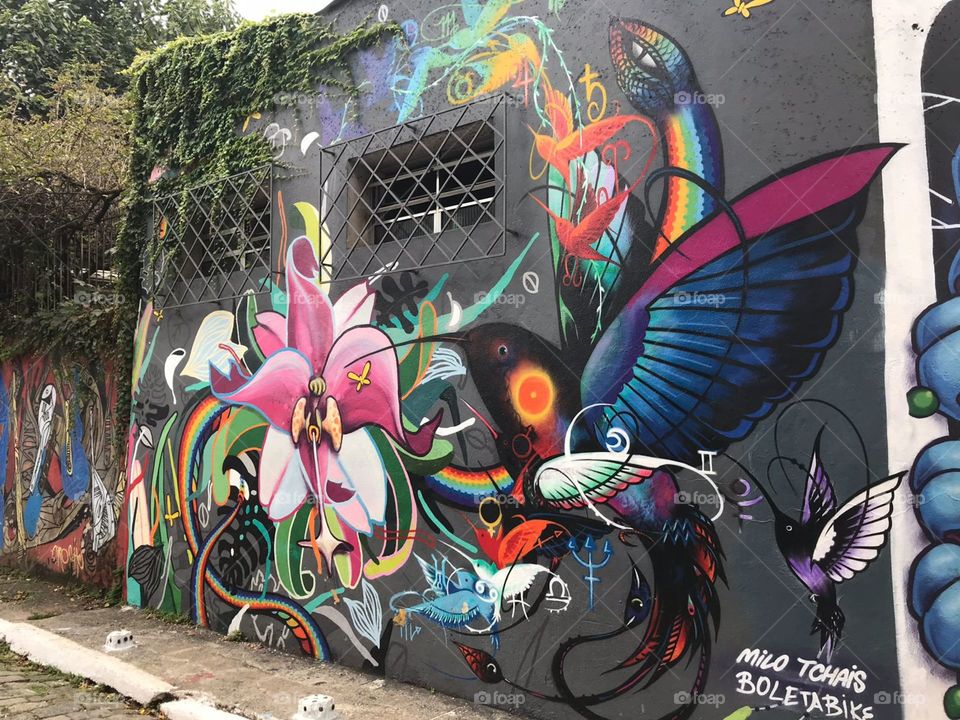 A beautiful and colorful street art in Rio de Janeiro, Brazil. Traditional urban landscape.