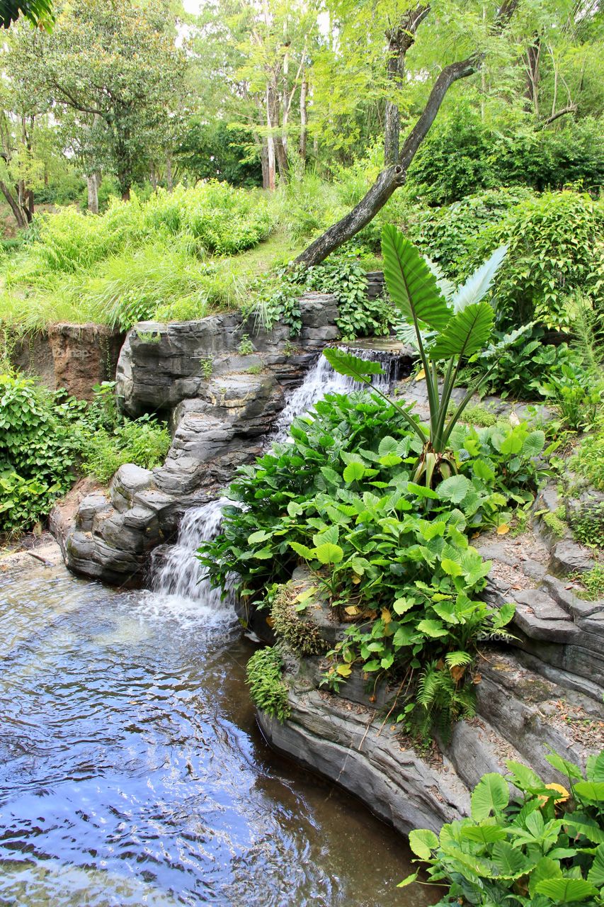 Waterfall in a rainforest 