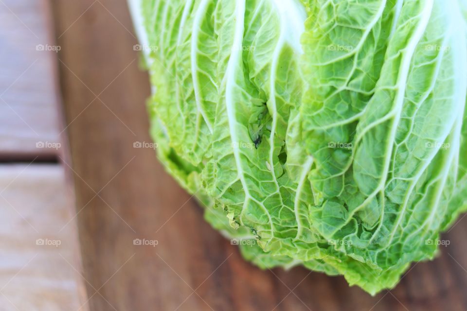 Extreme close-up of cabbage