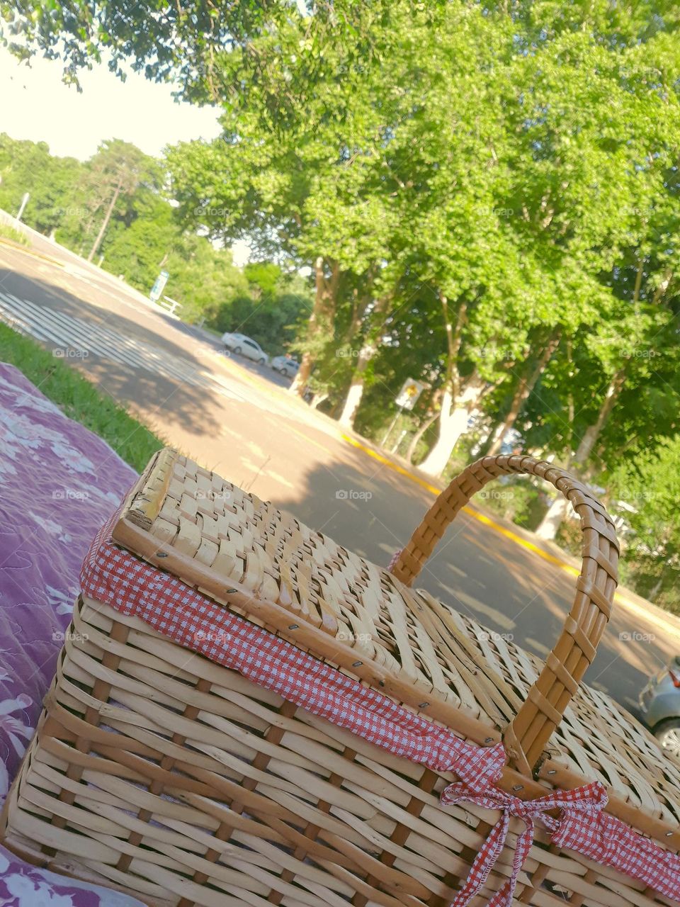 Cesta de piquenique