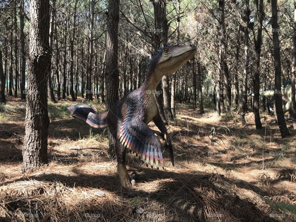 Dino parque Lourinhã 