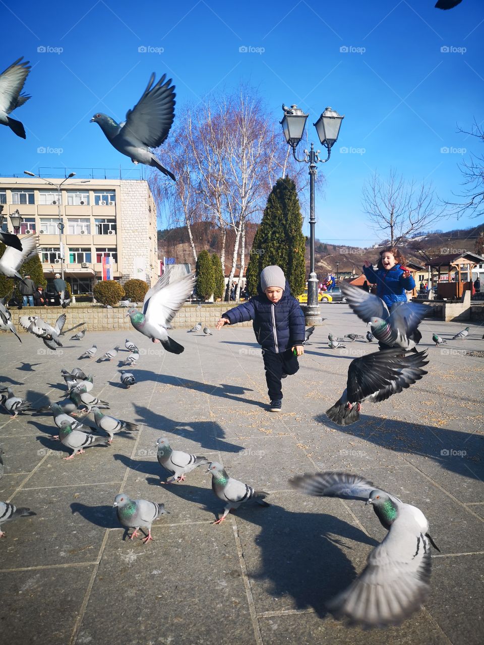 Chasing the pigeons