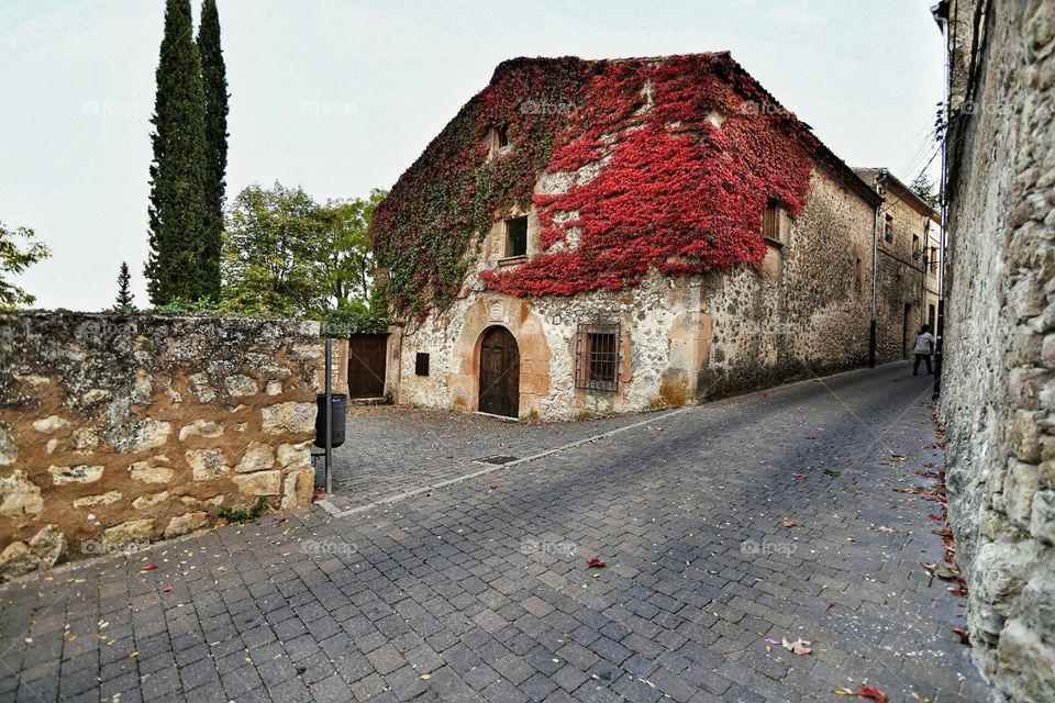 Paisaje urbano
 Urban landscape