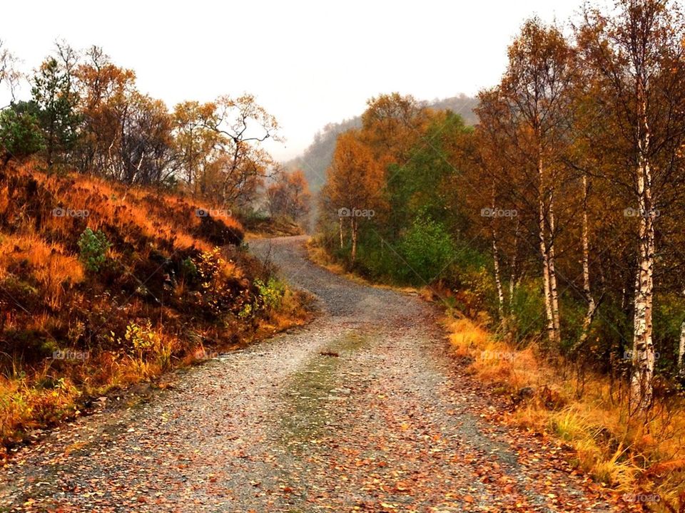 Mountain road in autumn