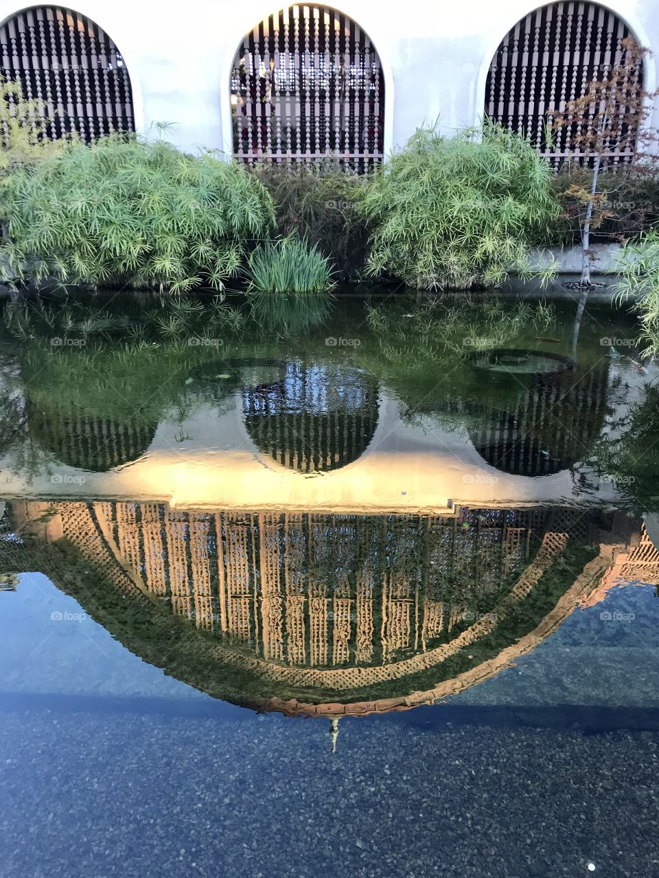 Botanical garden balboa park 