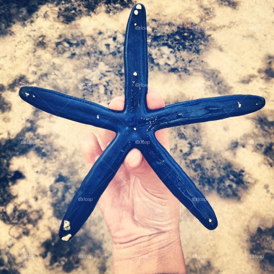 Starfish