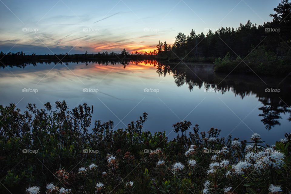 Long exposure. Spring. Lake. Sunlight.