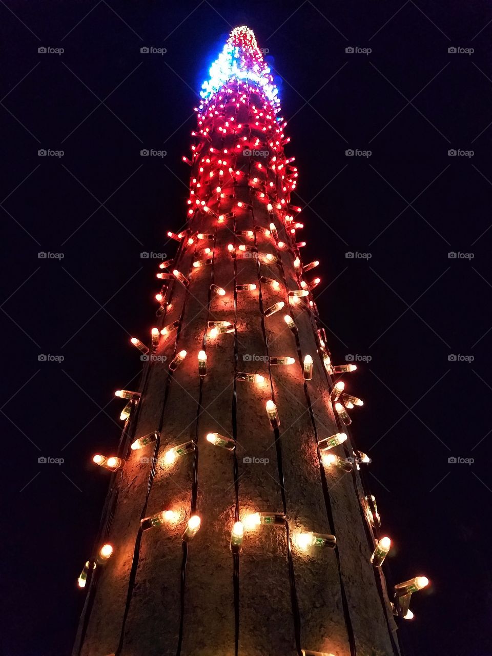 Christmas, lights, decorative,  string of lights, bright,  colorful, XMas, holidays, celebration