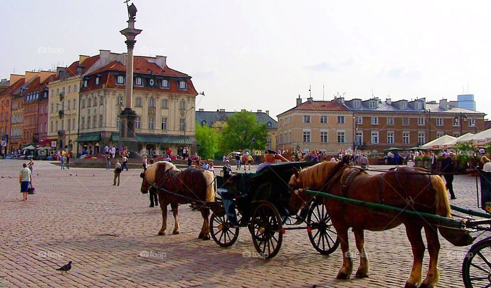 Horses and carriage near central square of Krakow, Poland, at sunset