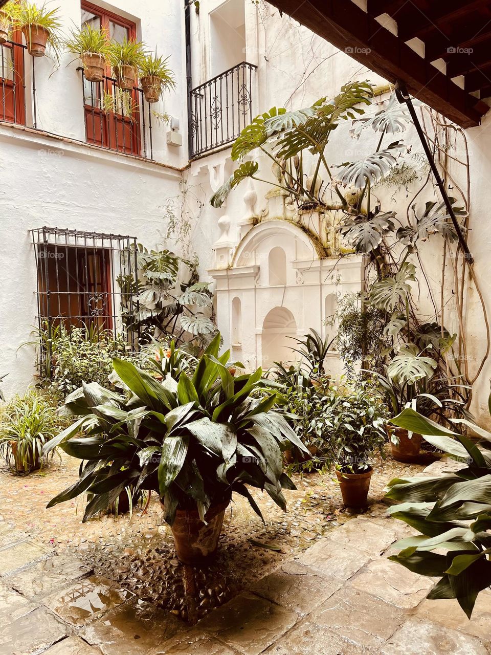 Internal garden patio inside in a residential area in Sevilla 