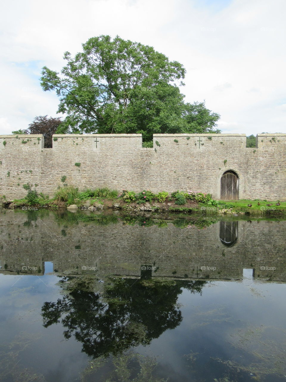Wells moat with a tree reflecting in the water