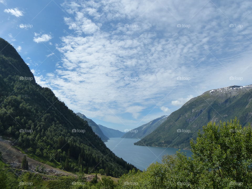 Fjords