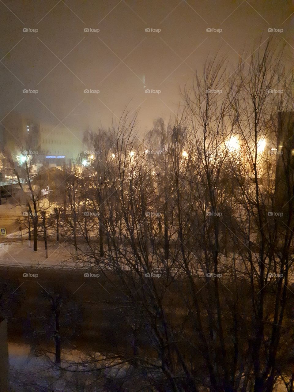 view from the window