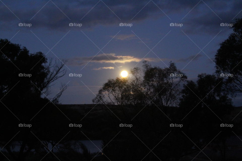 moonlit night on the water