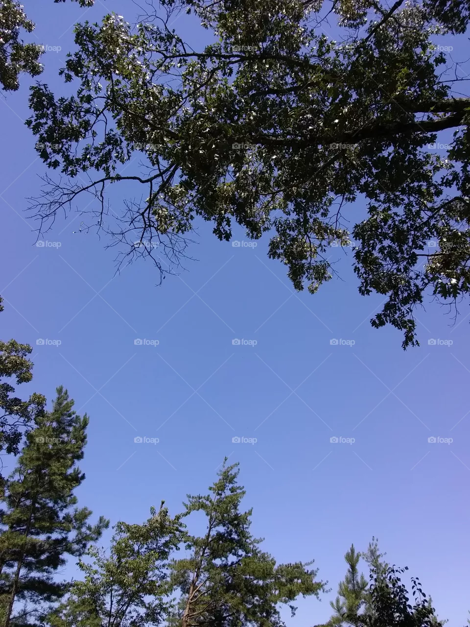 sky