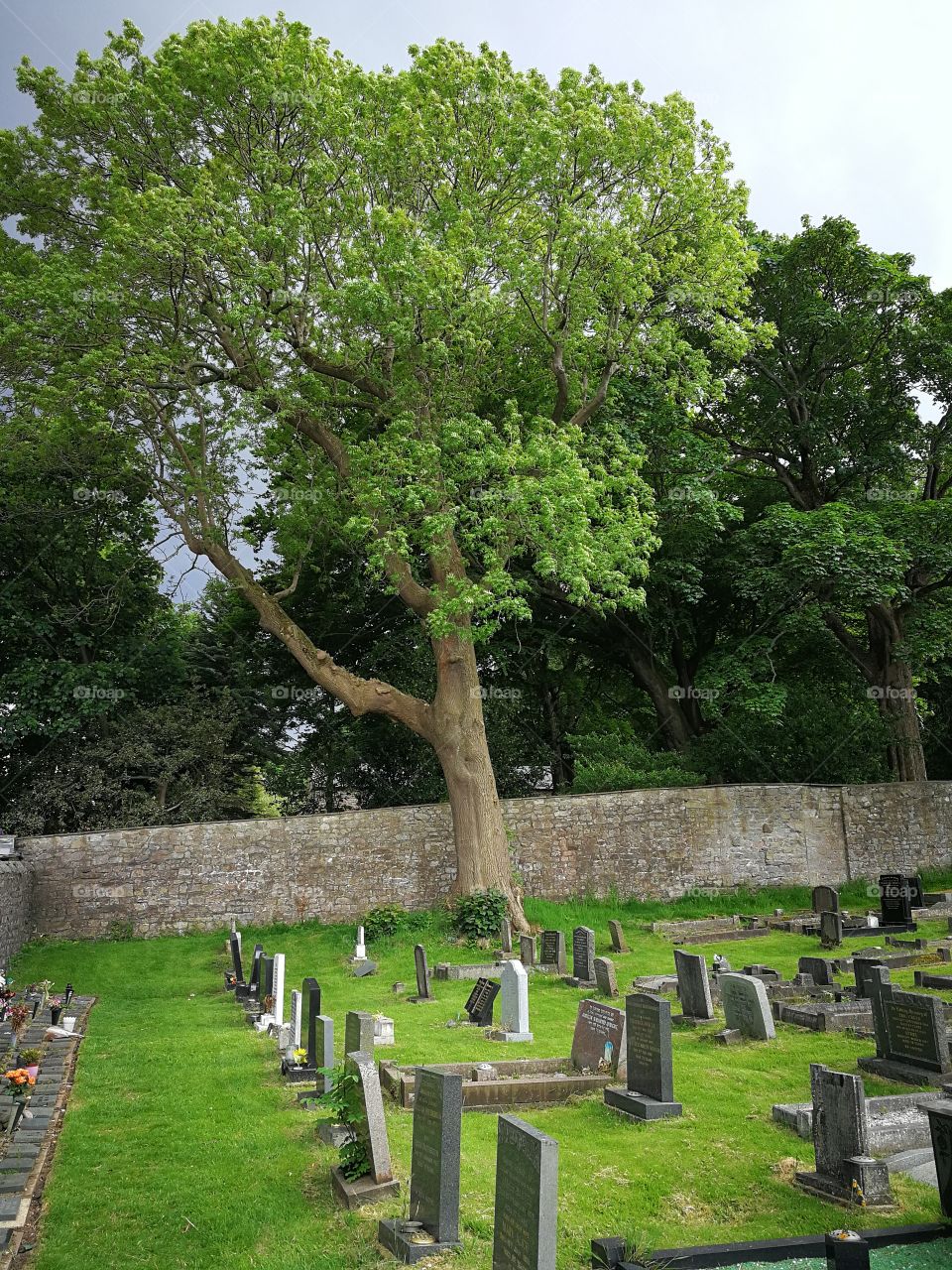 St Peter's Graveyard  Heysham