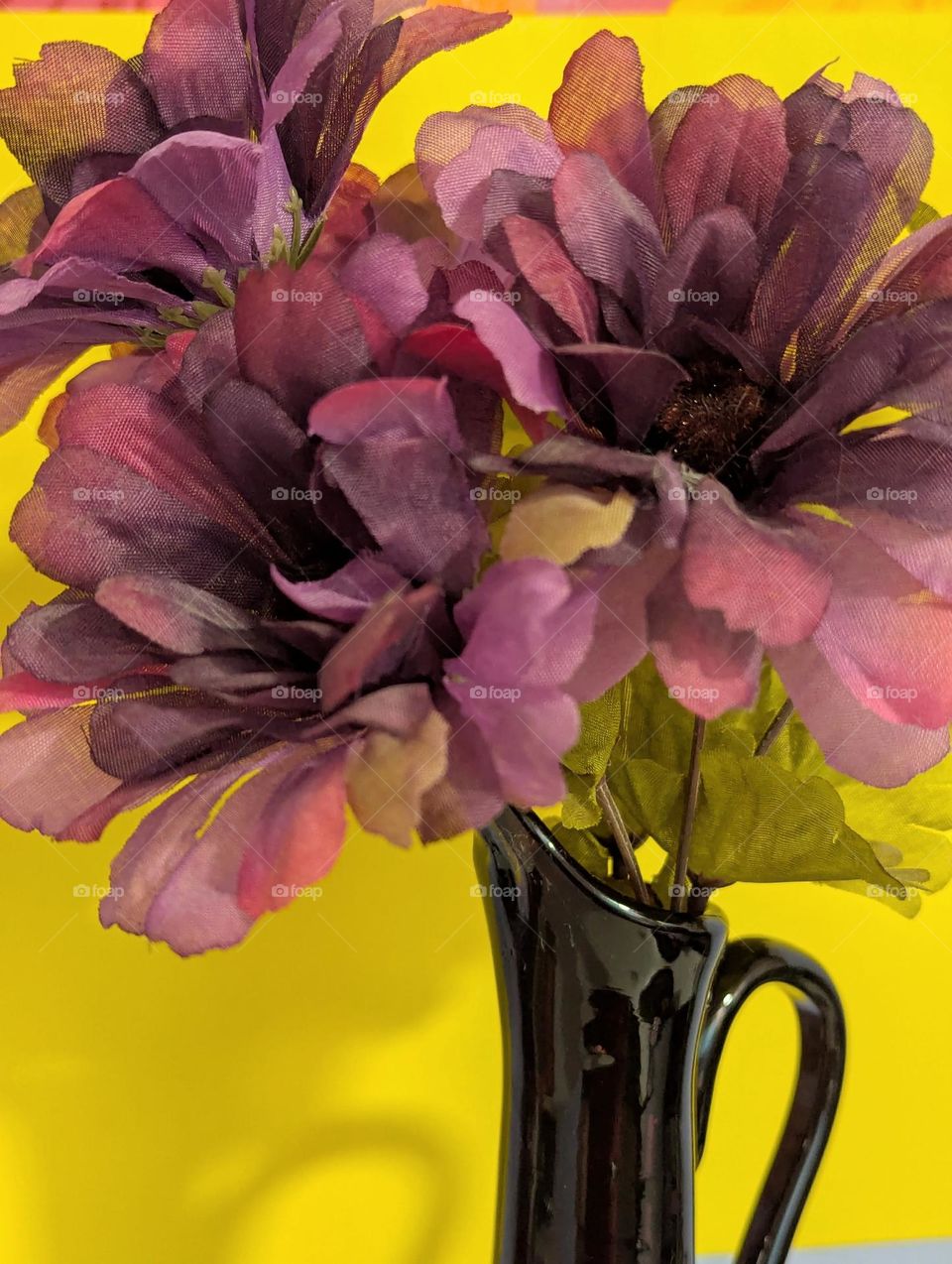 purple flowers with a yellow background