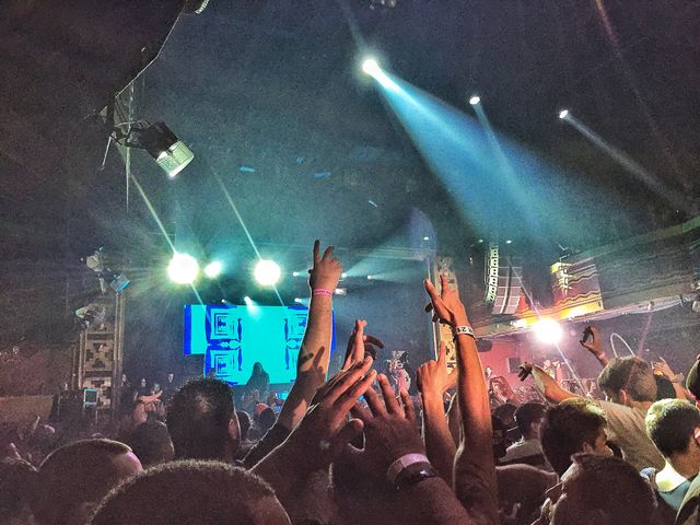Zeds dead
