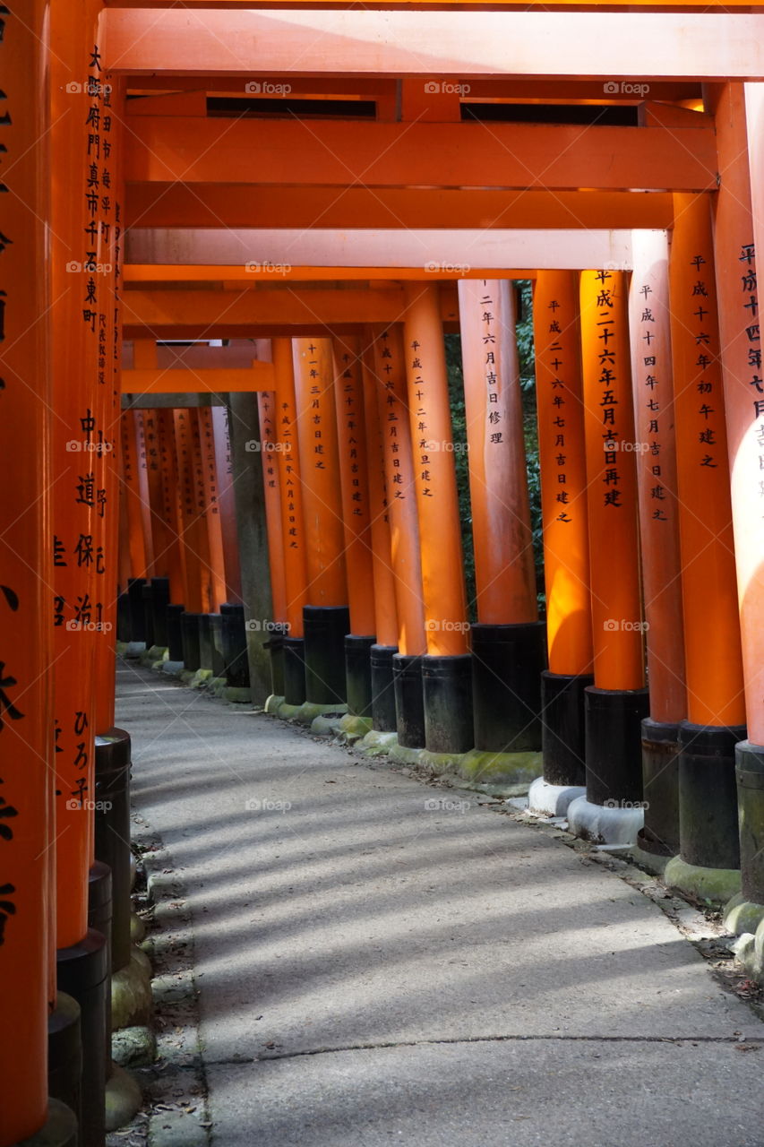 Vermillion torii  gates  of fushimi inari shrine following the tori path