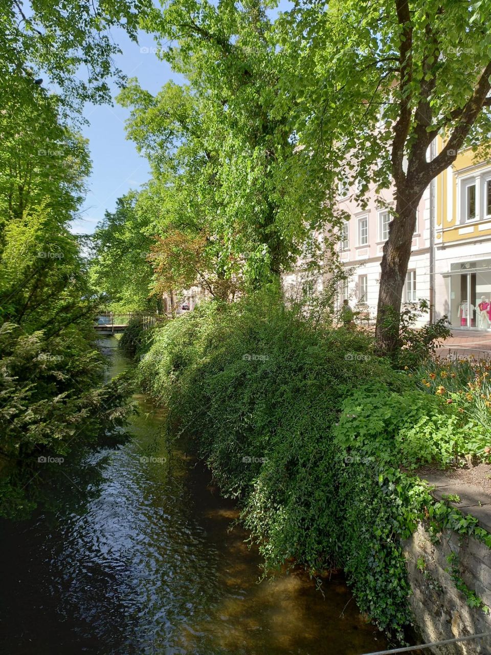 River Through a Town